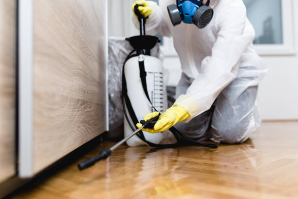 Best Mosquito Control Services  in Ethete, WY