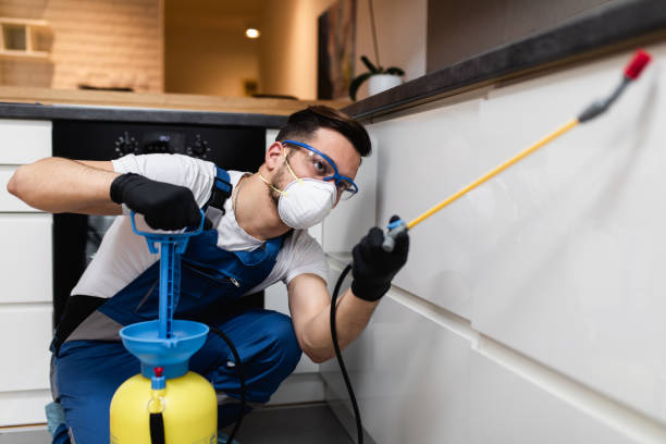 Reliable Ethete, WY Pest Control Solutions