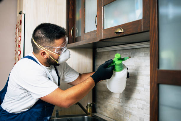 Best Termite Control Services  in Ethete, WY