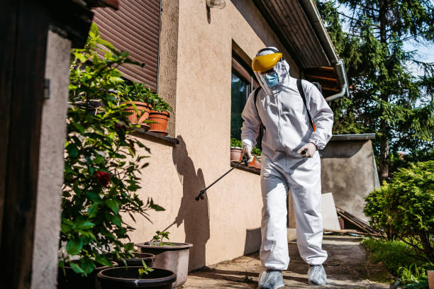 Best Rat Extermination Near Me  in Ethete, WY