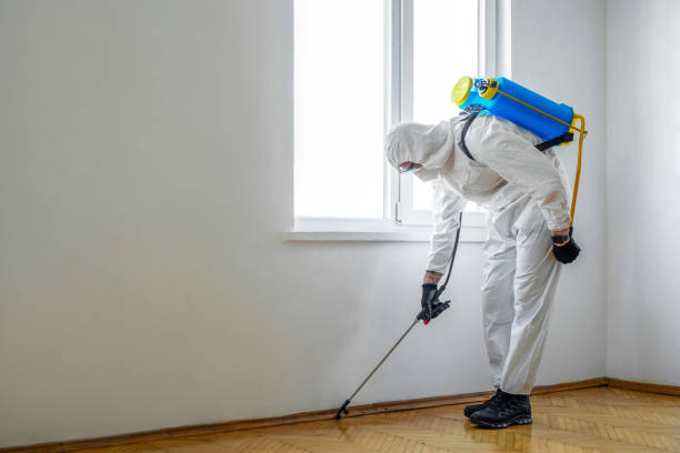 Best Rat Extermination Near Me  in Ethete, WY