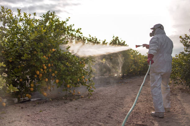 Best Best Pest Control Companies  in Ethete, WY