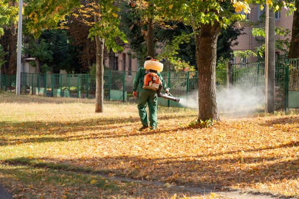 Best Local Pest Control Services  in Ethete, WY
