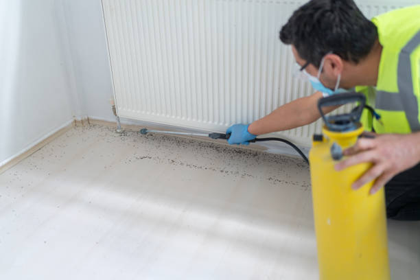 Best Pest Inspection Near Me  in Ethete, WY